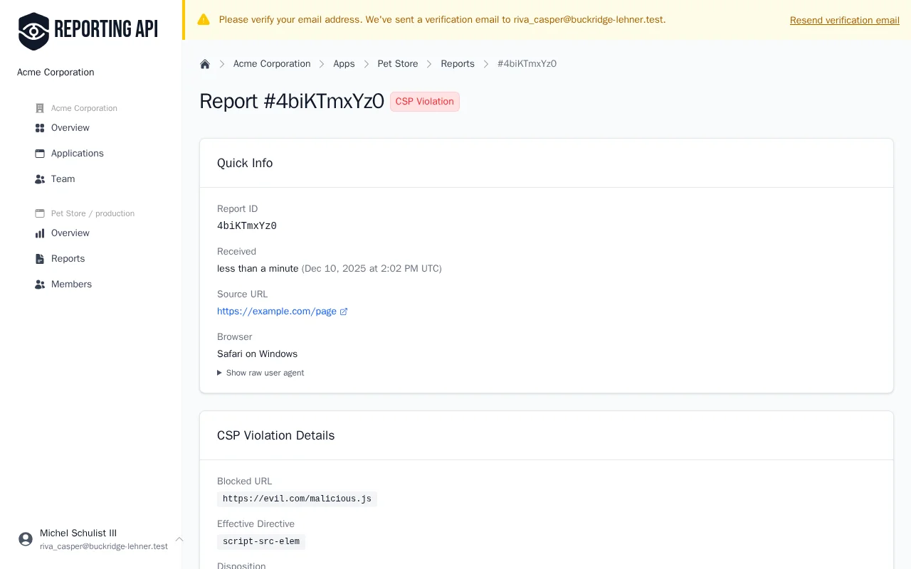 Detailed view of a CSP violation report